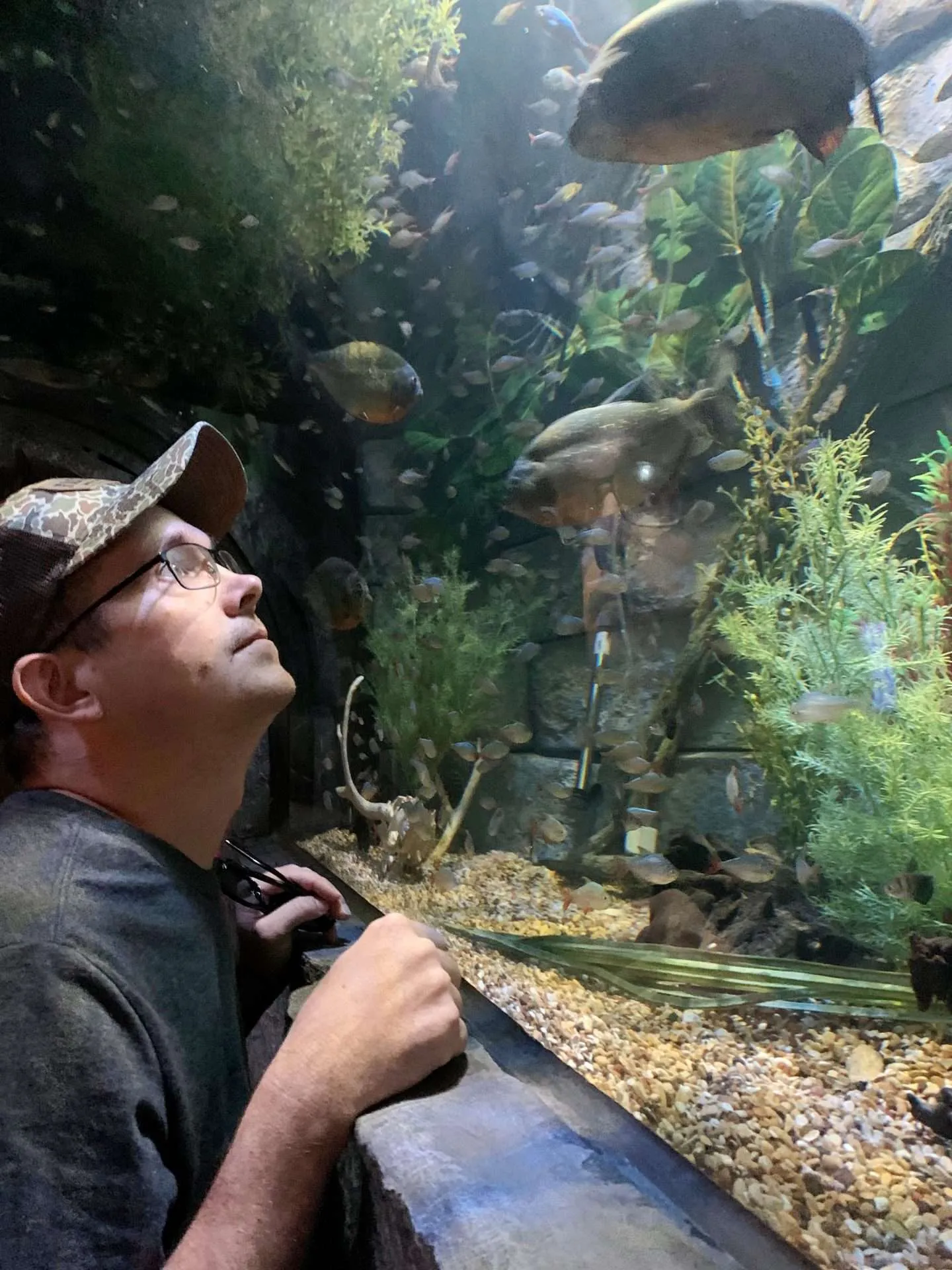Visiting the Sea Life Aquarium in Dallas-Fort Worth