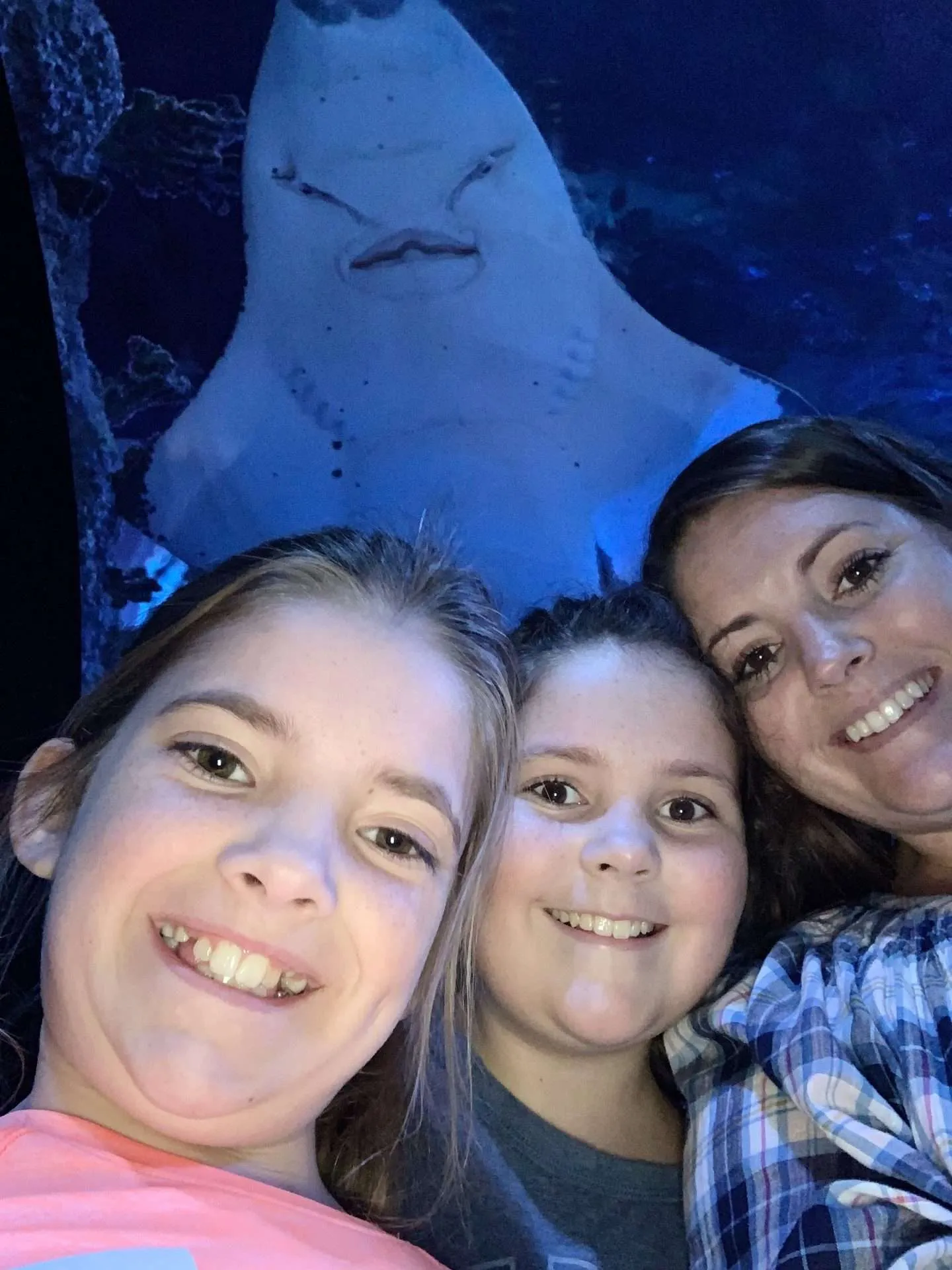 We took a selfie with a shark at the aquarium in Dallas.