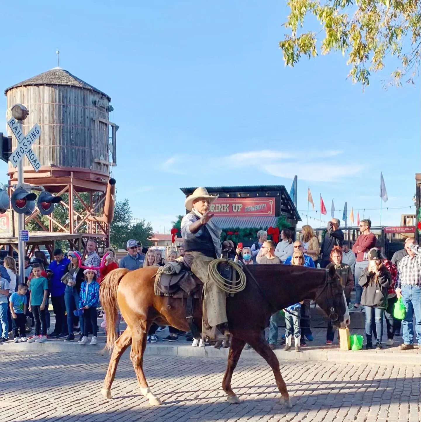 Drover at the Fort Worth Stockyards cattle drive.
