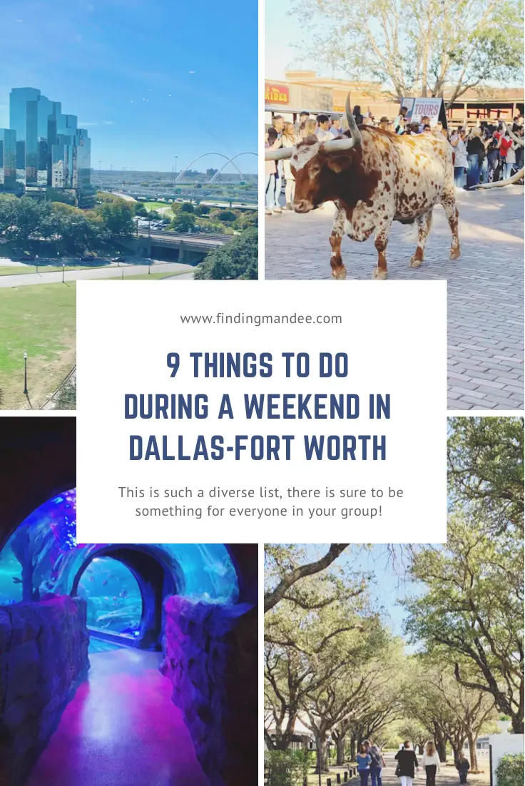 9 Unique Things to do on a Weekend Trip to Dallas-Fort Worth | Finding Mandee