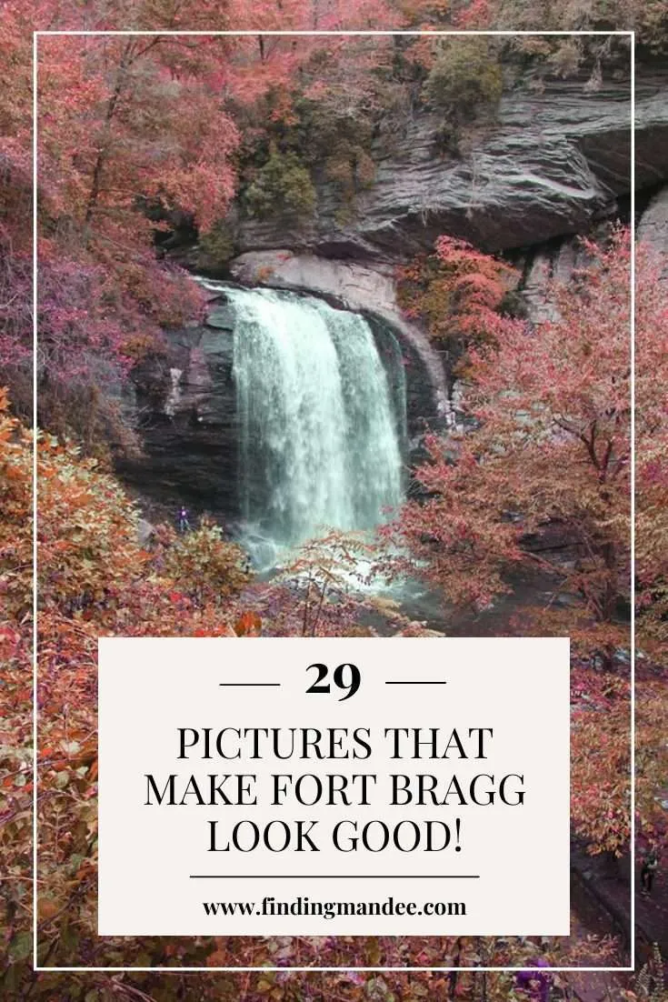 29 Pictures that Make Fort Bragg Look Good | Finding Mandee