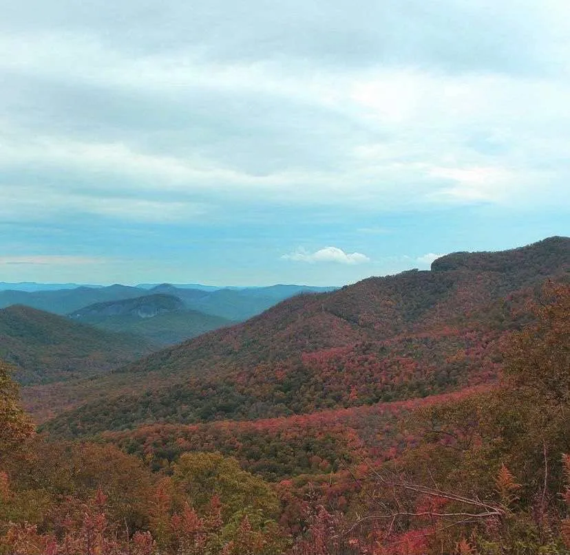 Pictures that make orders to Fort Bragg, NC look good: fall colors along the Blue Ridge Parkway.