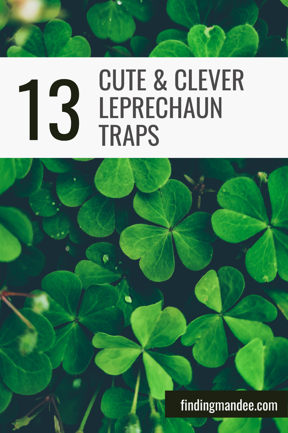 13 Cute and Clever Leprechaun Traps for Your School Project | Finding Mandee