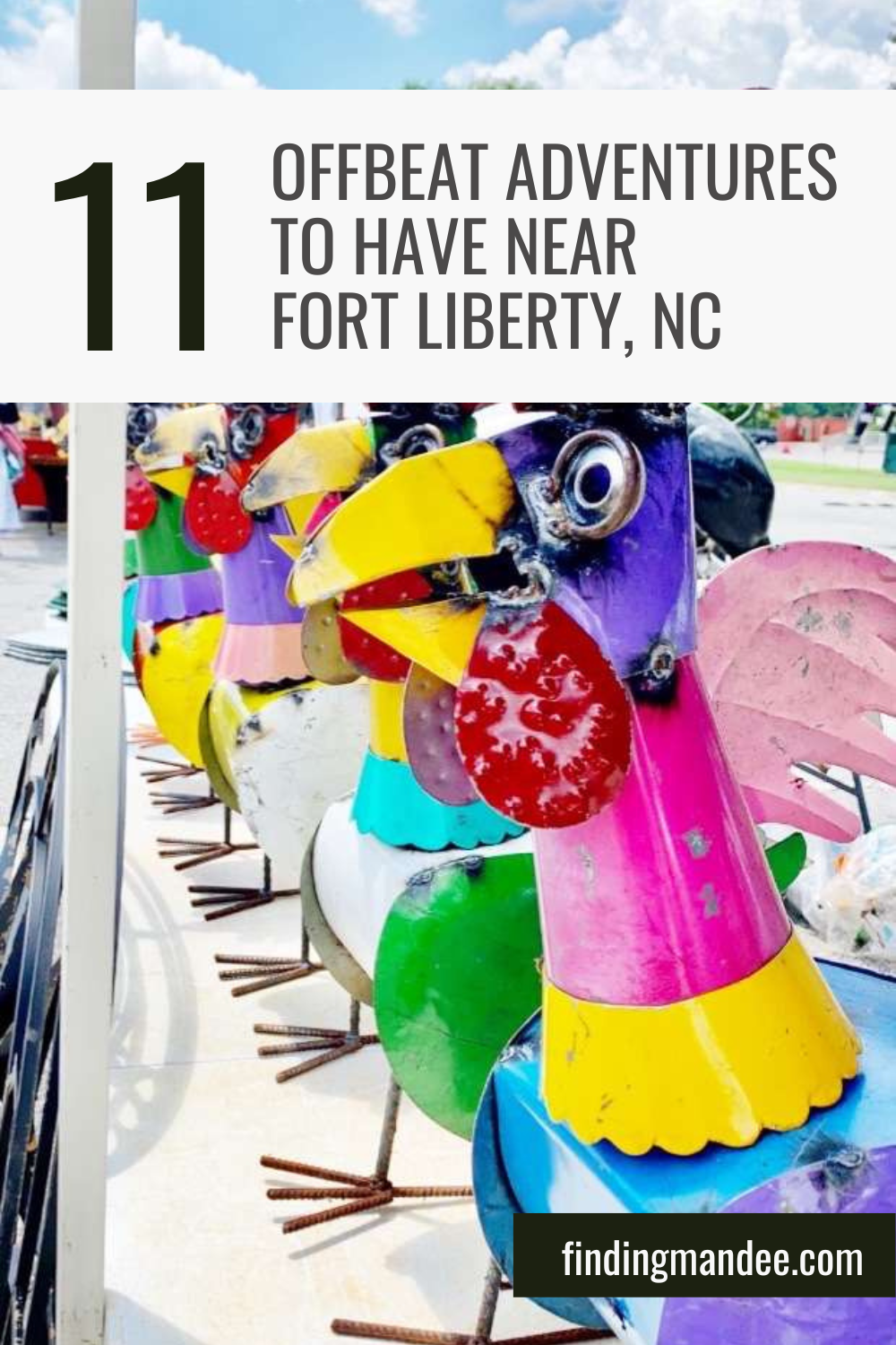 11 Offbeat Adventures You Don't Want to Miss Near Fort Liberty, NC | Finding Mandee