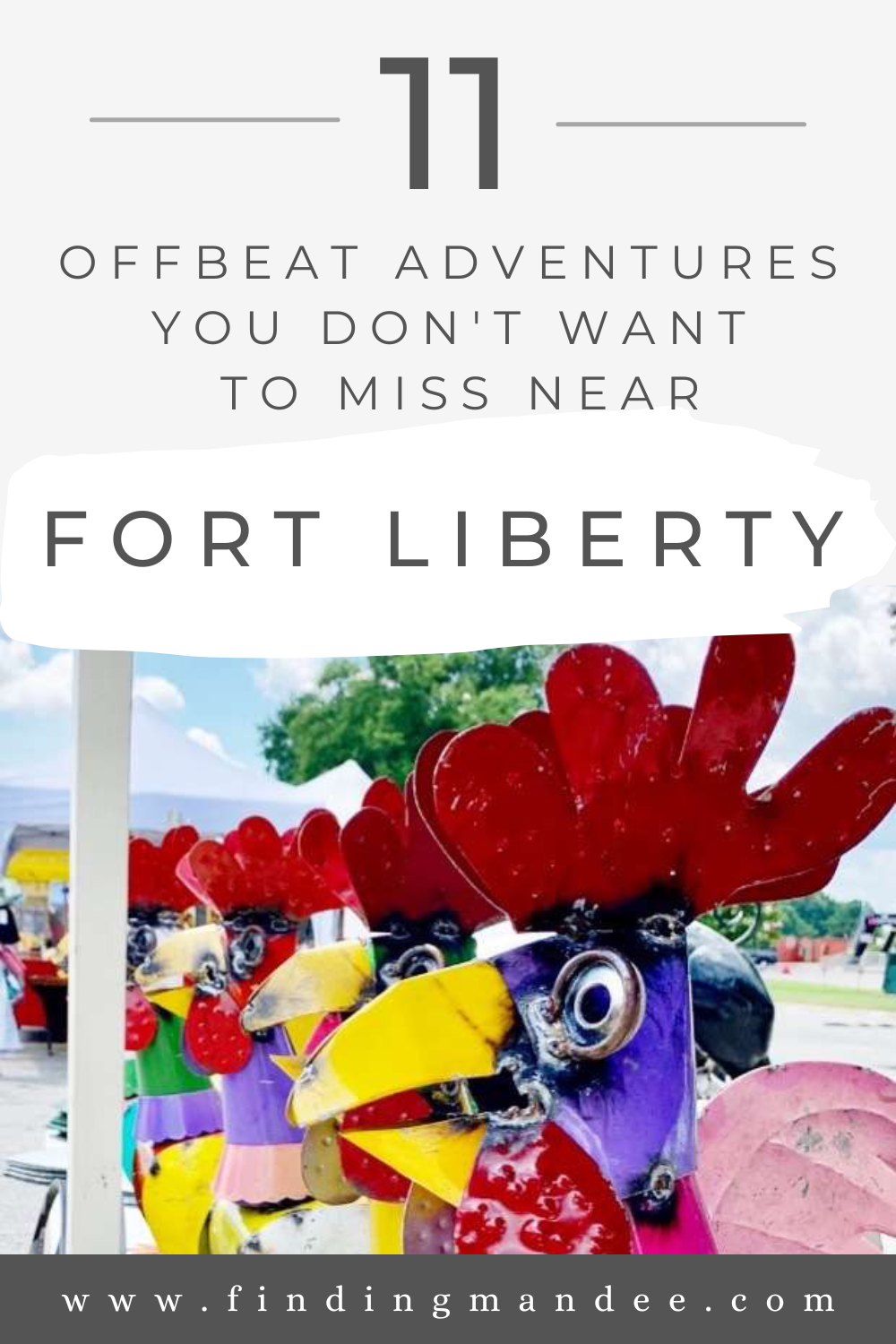 11 Offbeat Adventures You Don't Want To Miss Near Fort Liberty, North Carolina | Finding Mandee