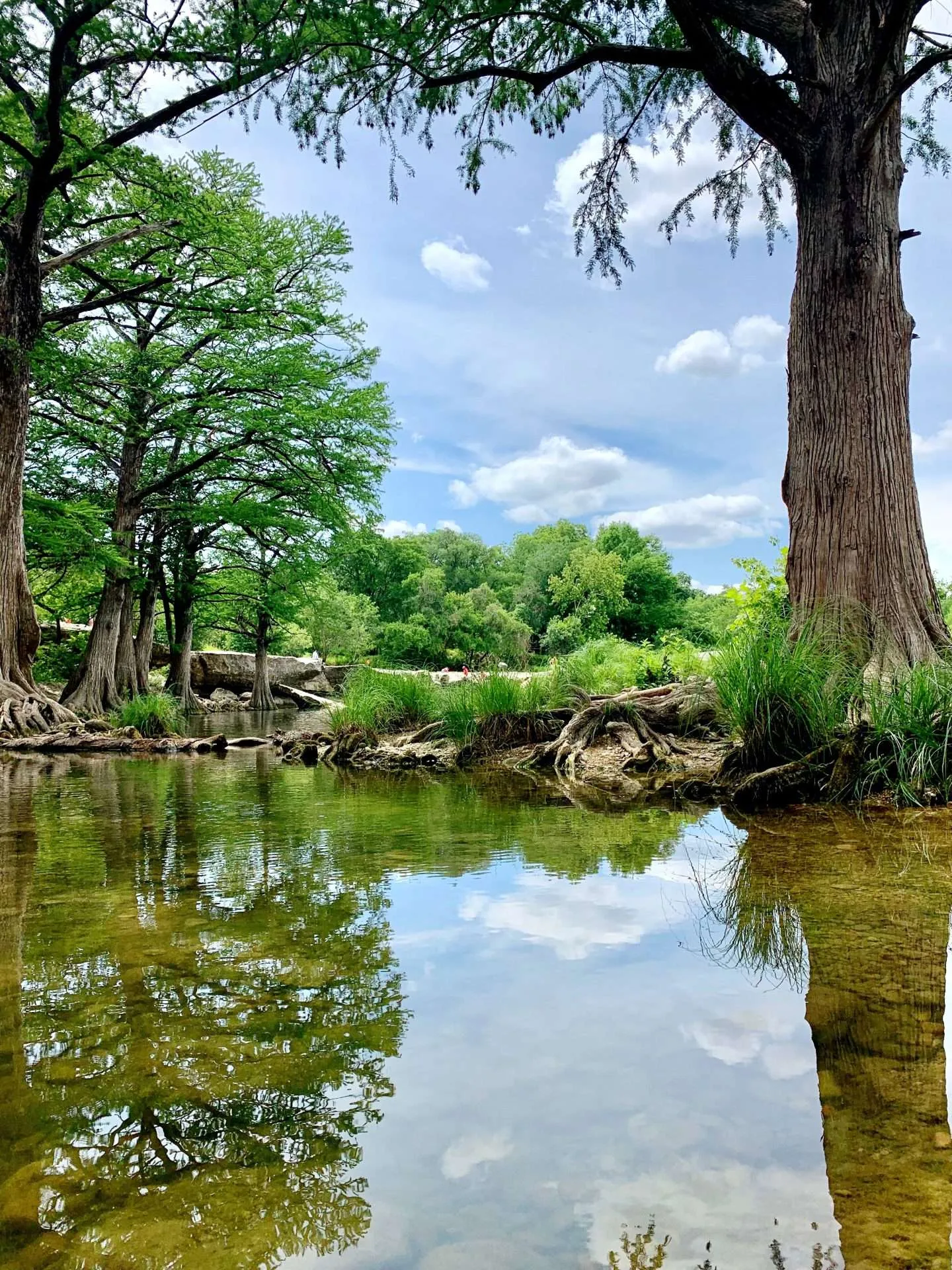 Onion Creek at McKinney Falls State Park in Austin, Texas.
