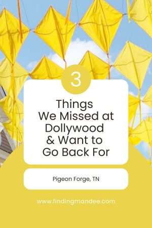 3 Things We Missed at Dollywood and Want to Go Back For | Finding Mandee