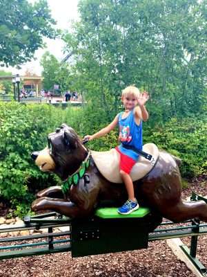 Riding the bears at Dollywood in Pigeon Forge.