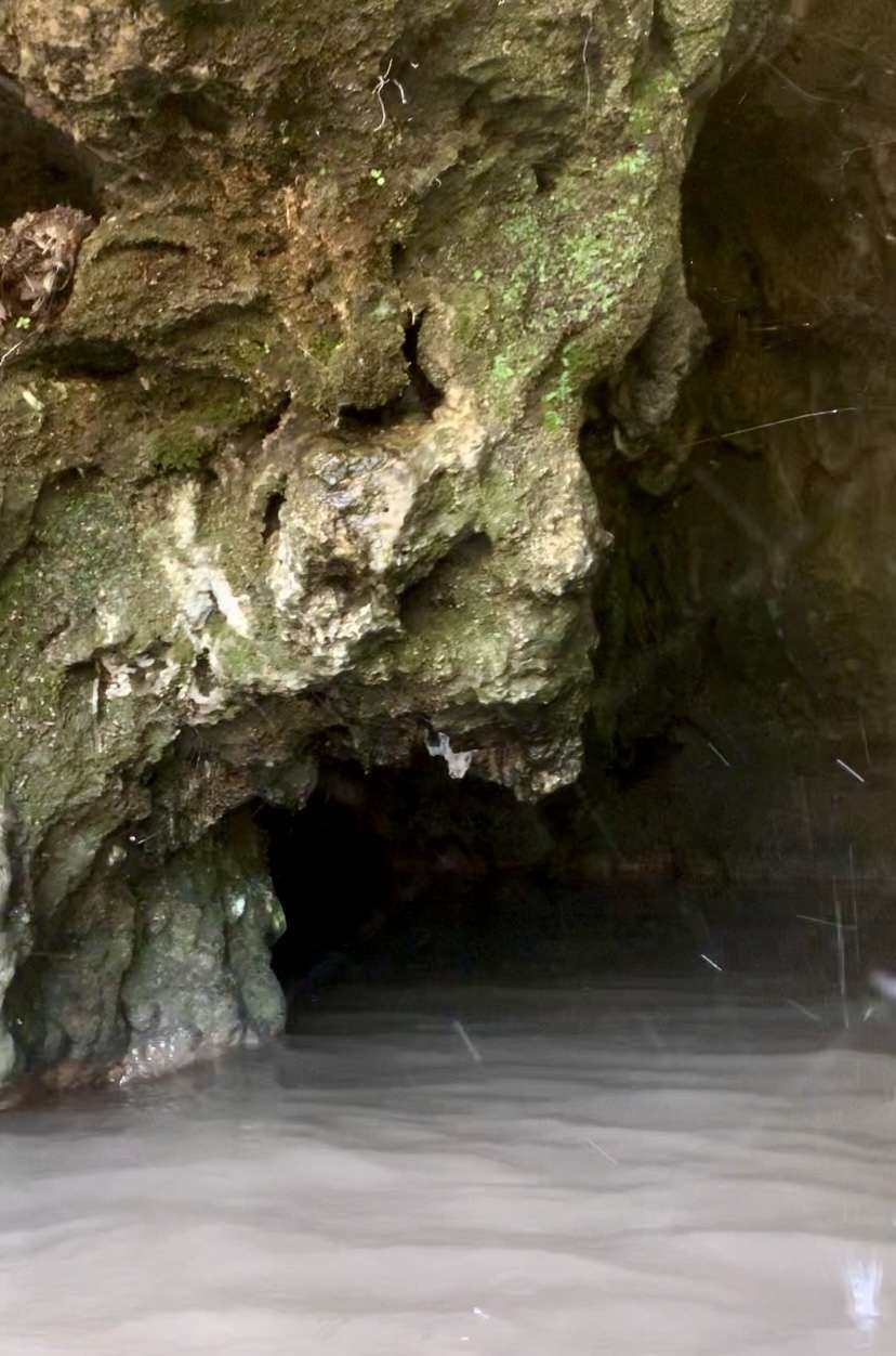 The cave behind the waterfall at Krause Springs.