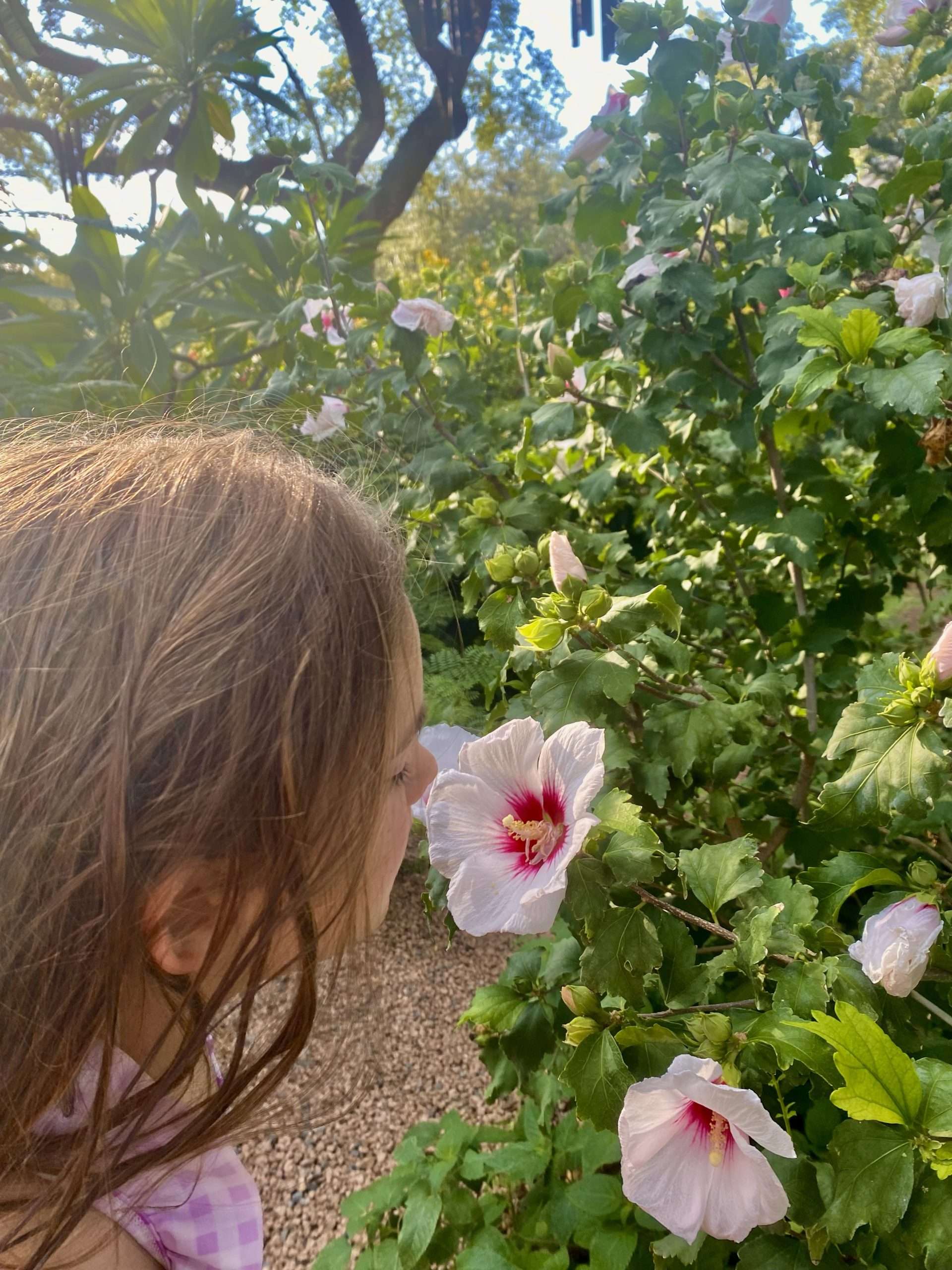 Stopping to smell the flowers in the Butterfly Gardens at Krause Springs.