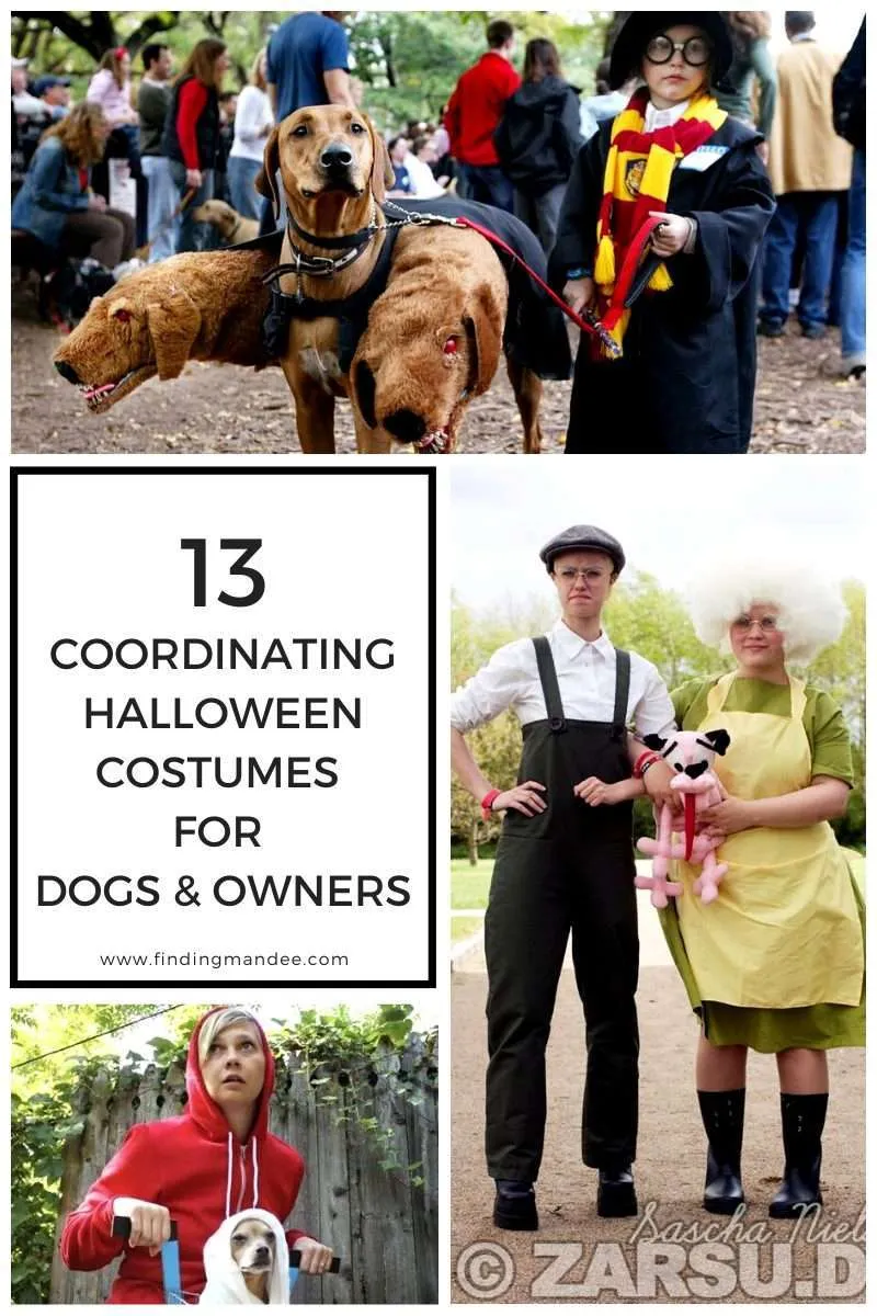 13 Coordinating Halloween Costumes for Dogs and Owners | Finding Mandee