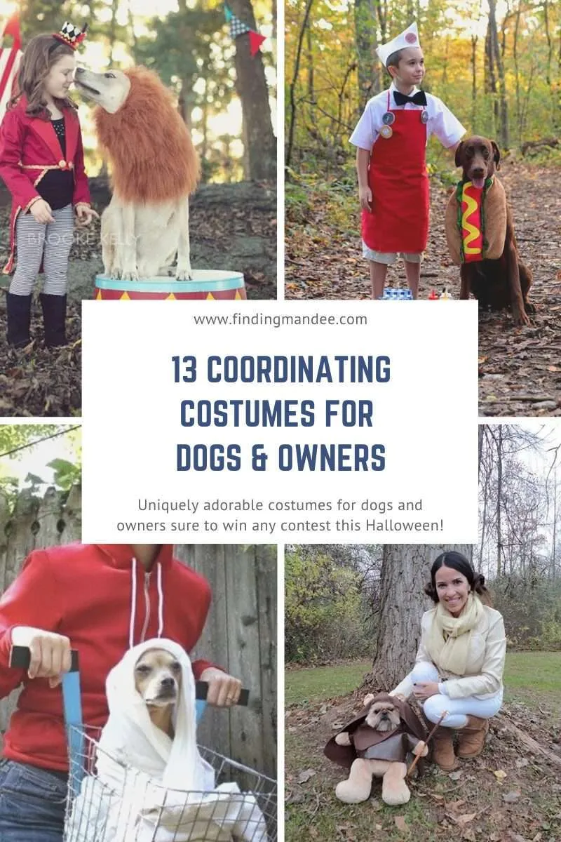 13 Coordinating Halloween Costumes for Dogs and Owners | Finding Mandee