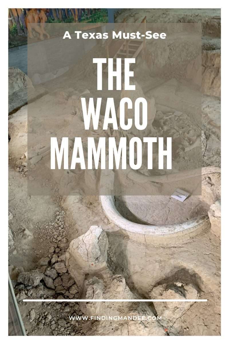 A Texas Icon: The Waco Mammoth | Finding Mandee
