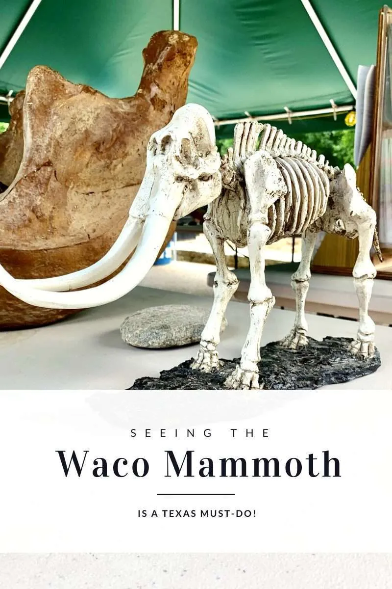 You Can Visit an Archeological Dig Site in Waco, TX | Finding Mandee