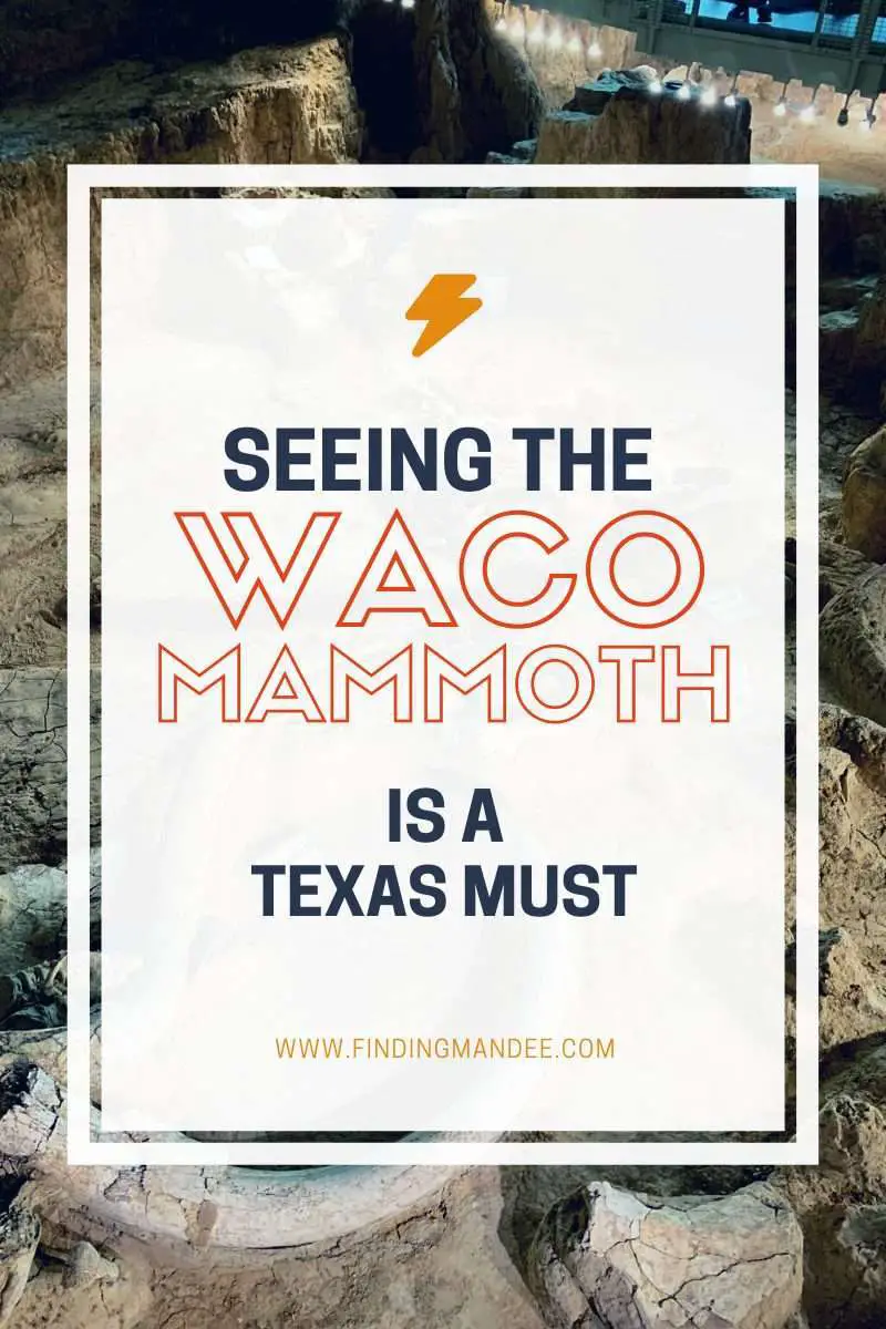 Seeing the Waco Mammoth is a Texas Must | Finding Mandee
