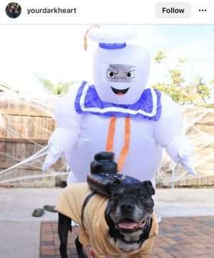 Dog and Owner Costume: Ghost Buster and Stay Puft Marshmallow Man