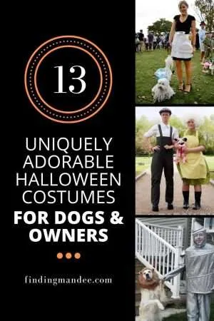 13 Uniquely Adorable Dog and Owner Costumes for Halloween | Finding Mandee
