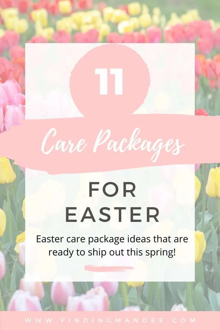 11 Care Packages for Easter | Finding Mandee
