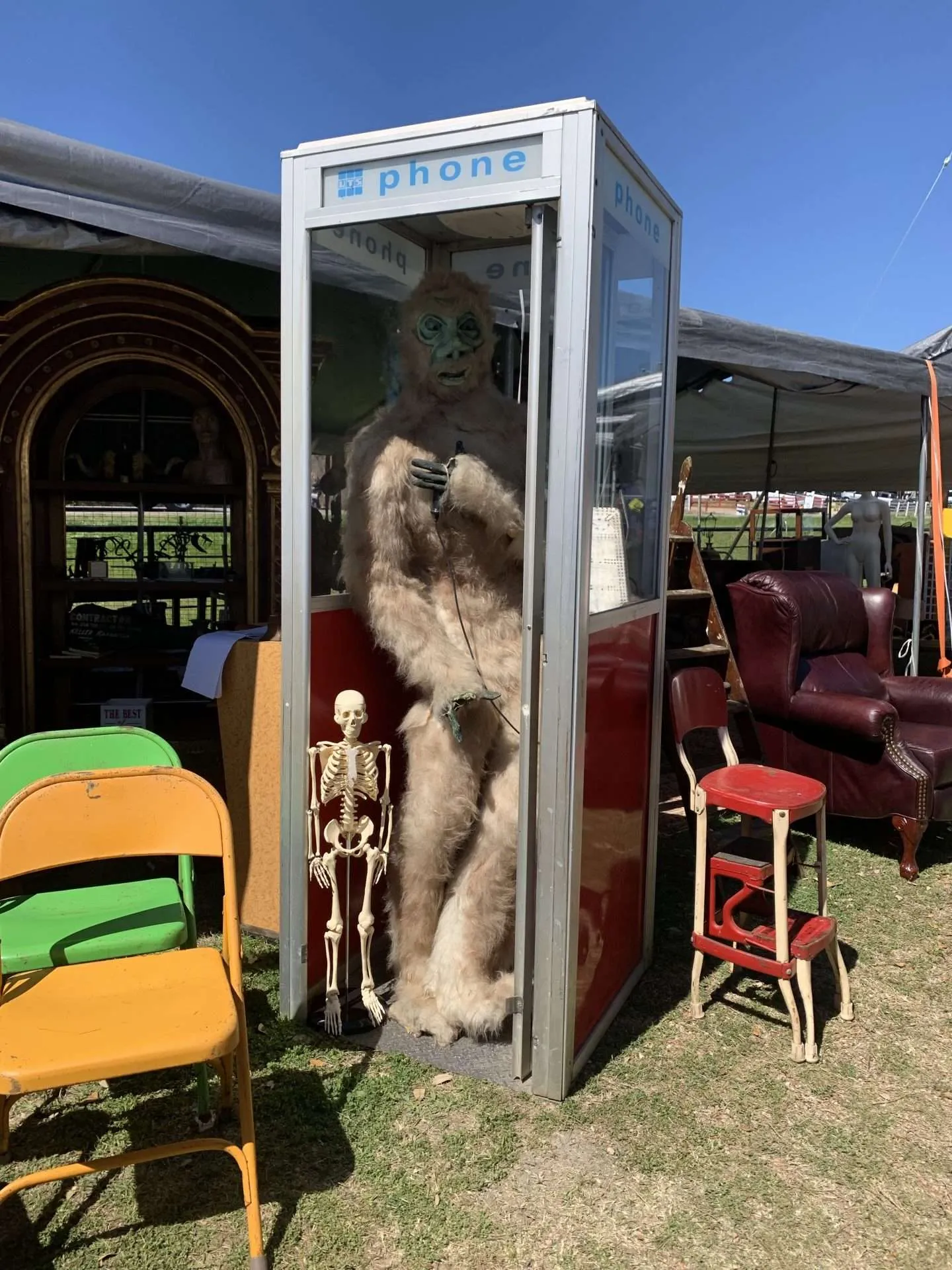 A Yeti using a phone booth at the flea market in Warrenton, Texas during the Round Top Antique Show. 