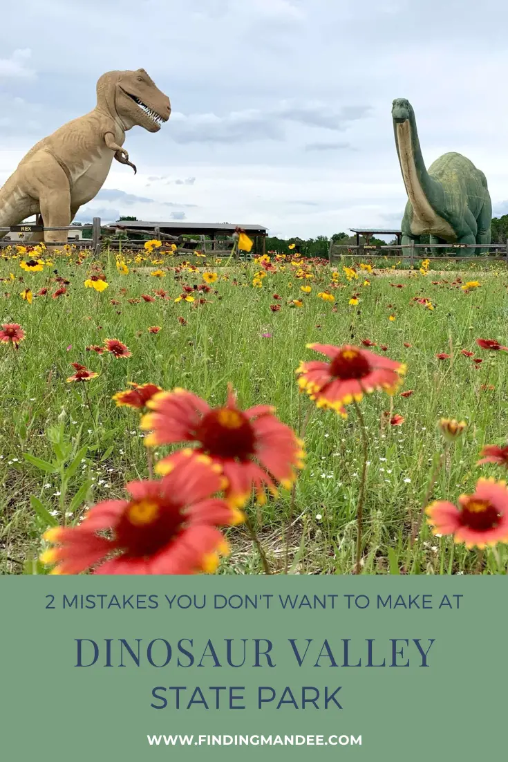 2 Mistakes You Don't Want To Make at Dinosaur Valley State Park | Finding Mandee