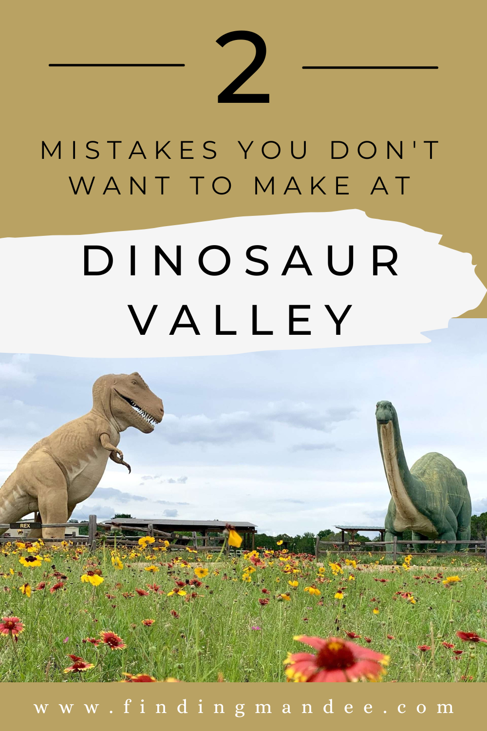 Dinosaur Valley State Park: 2 Mistakes You Don't Want To Make | Finding Mandee