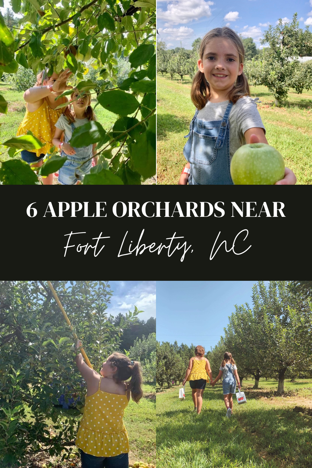 6 Apple Orchards Near Fort Liberty, NC | Finding Mandee