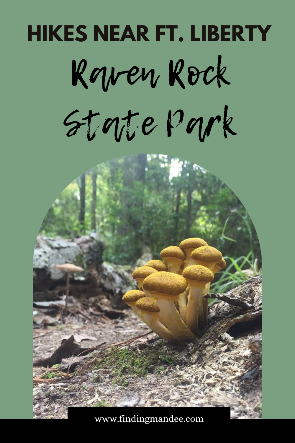 Hikes Near Fort Liberty: Raven Rock | Finding Mandee