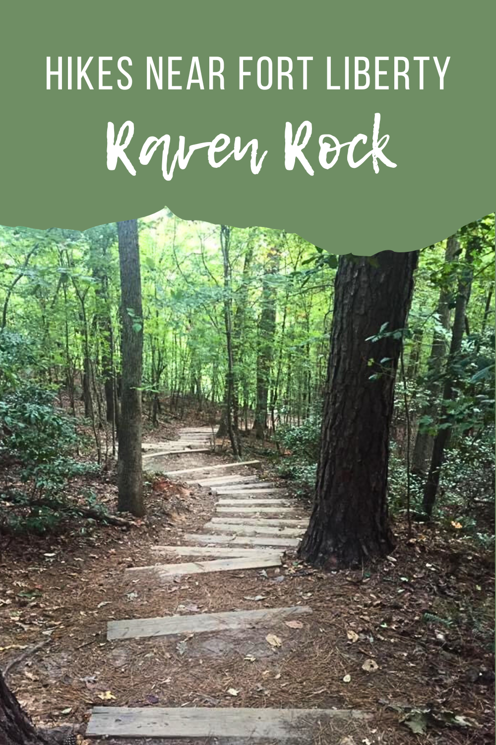Hikes Near Fort Liberty, NC: Raven Rock | Finding Mandee