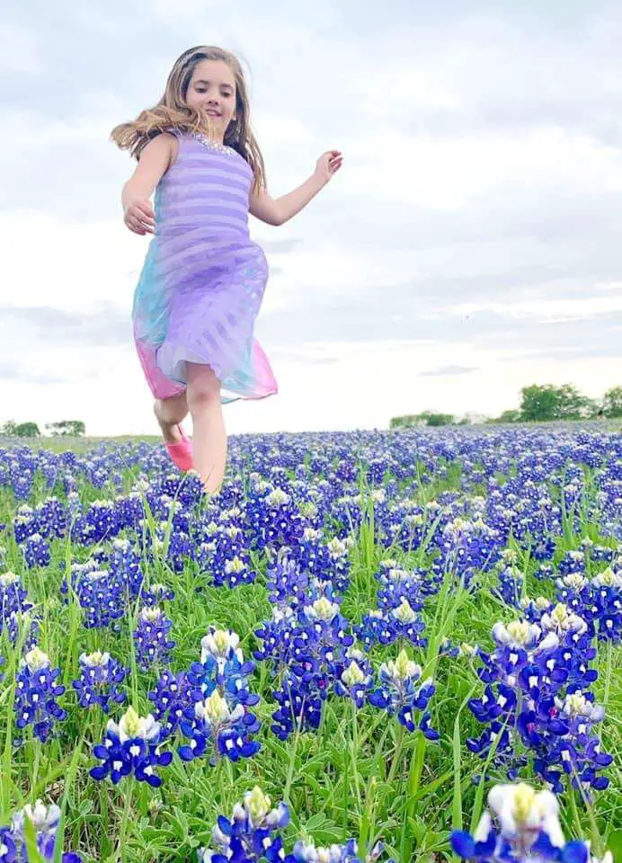 Bluebonnets blooming near Fort Cavazos, Texas.