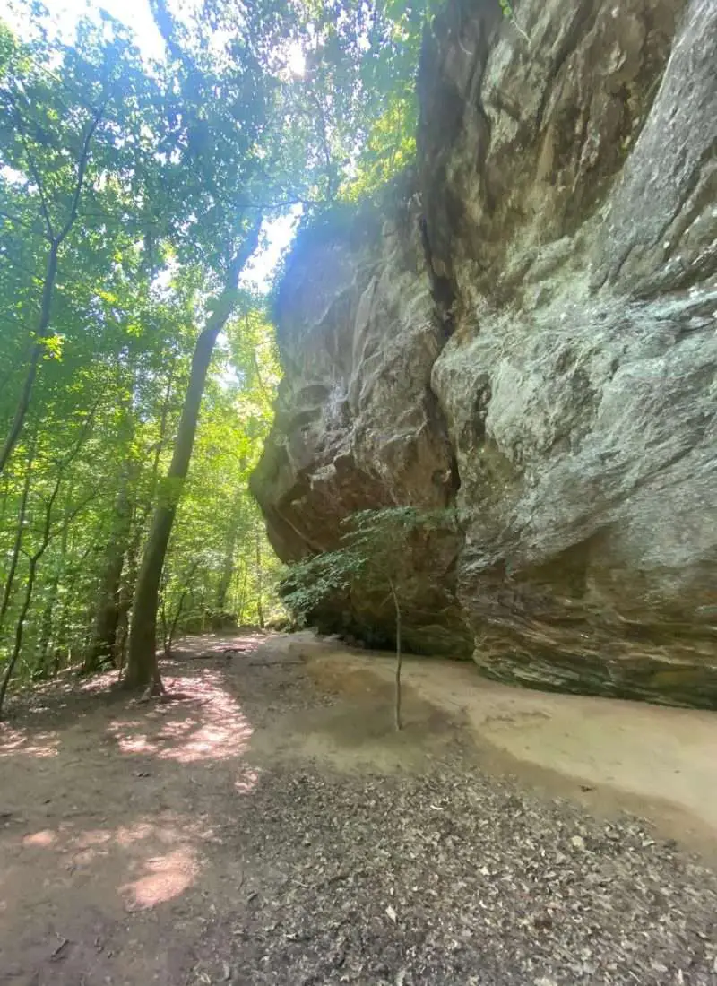 Hikes near Fort Liberty: Raven Rock State Park