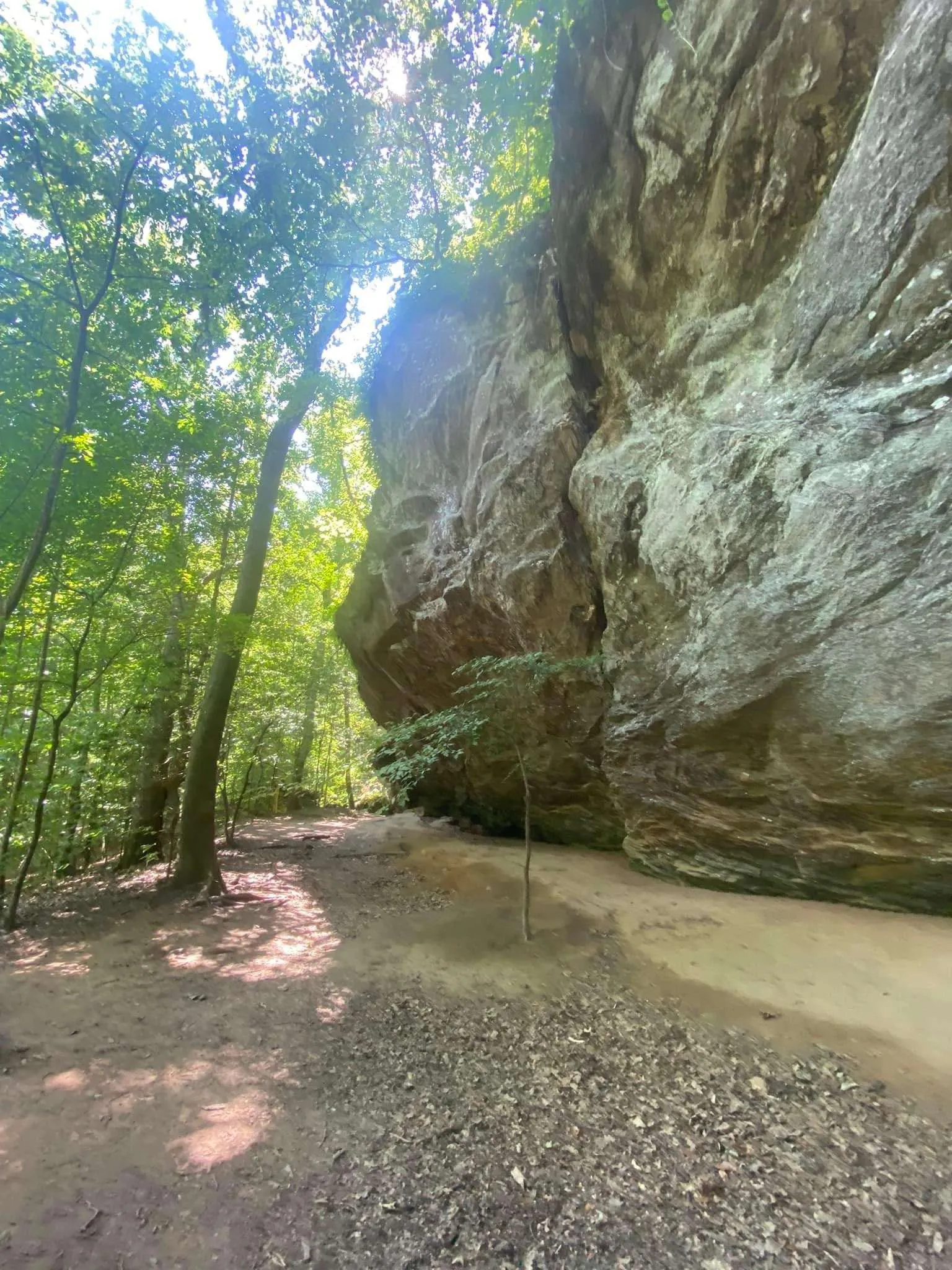 Hikes near Fort Liberty: Raven Rock State Park