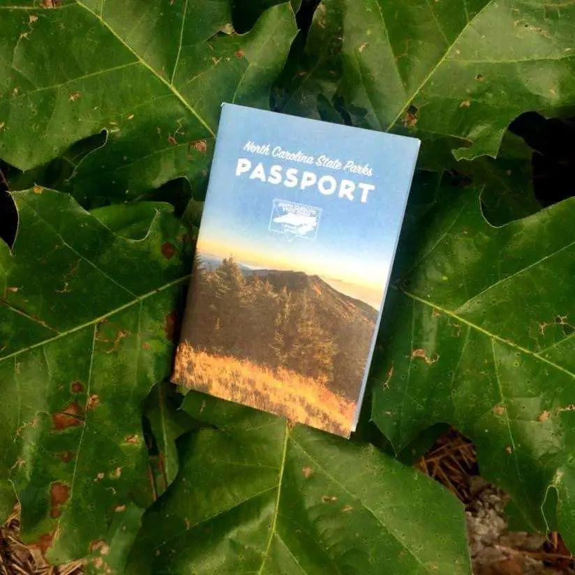 North Carolina State Parks Passport on a plant at Weymouth Woods Sandhills Nature Preserve