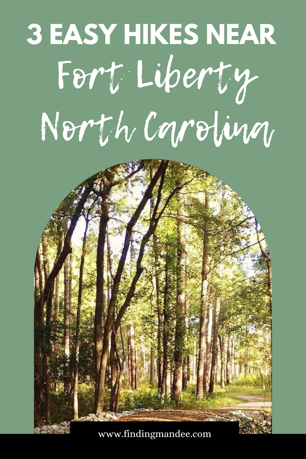 3 Easy Hikes Near Fort Liberty, North Carolina