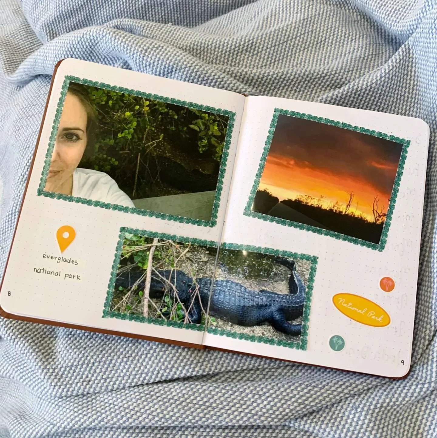 travel bullet journal: photos from Everglades National Park