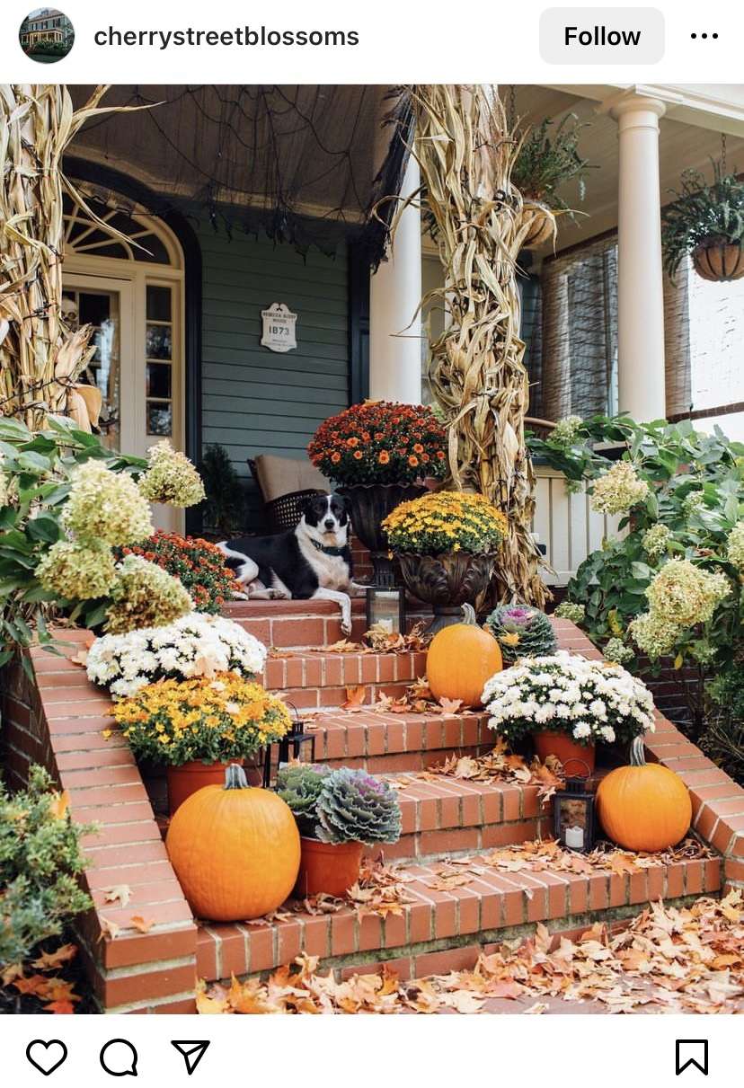 Fall porch decorating ideas: corn stalks, pumpkins, and mums