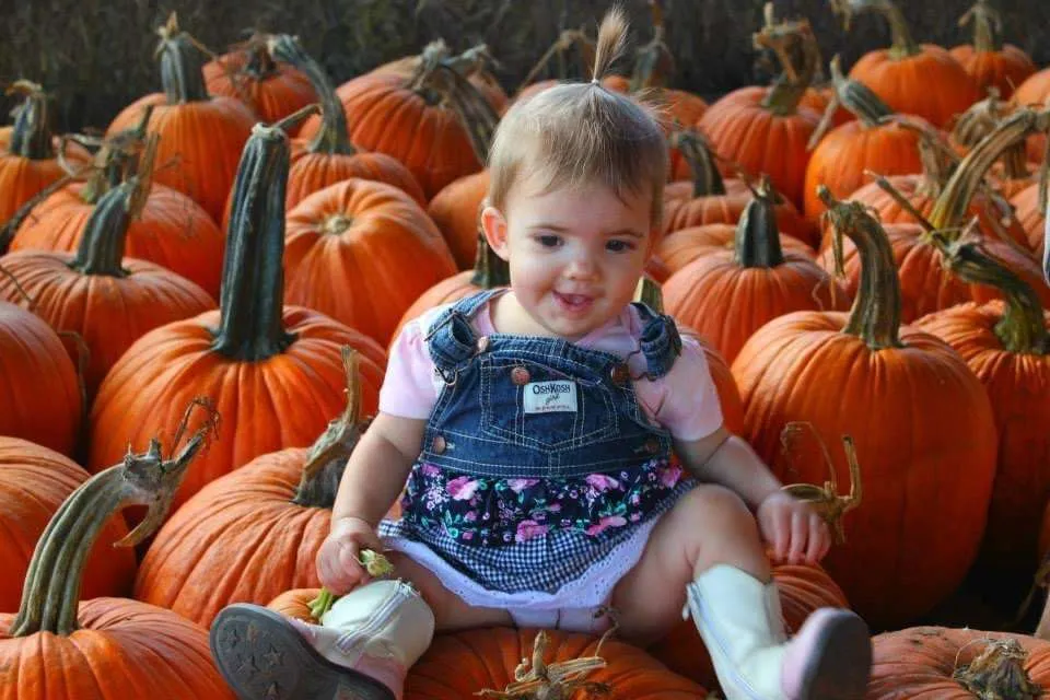 Fort Johnson: Pick out a pumpkin at Anderson Farms.