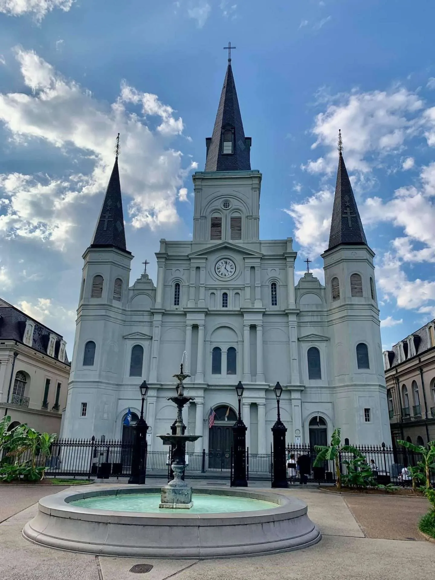 Things to do at Fort Johnson: Take pictures of Jackson Square and the St. Louis Cathedral.