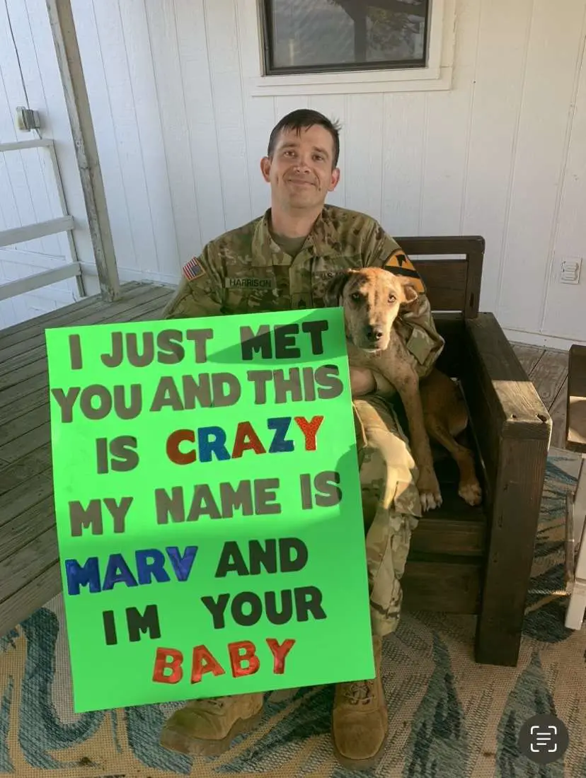 Deployment homecoming sign ideas: I just met you and this is crazy