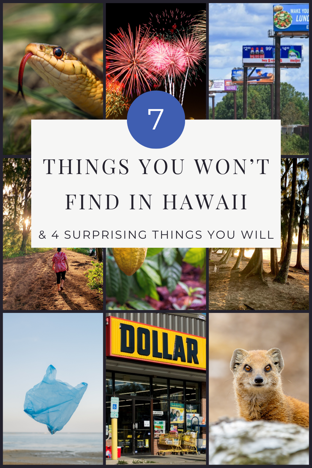 7 Things You Won't Find in Hawaii and 4 Surprising Things That You Will Find | Finding Mandee