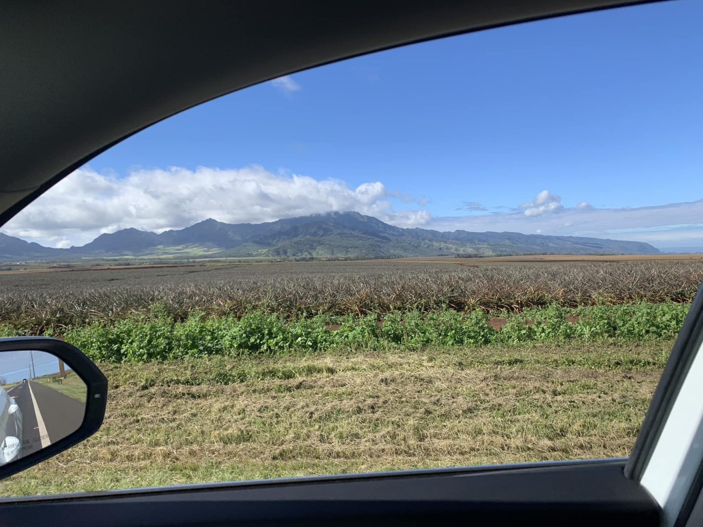 Hawaii Bucket List: see the pineapple fields