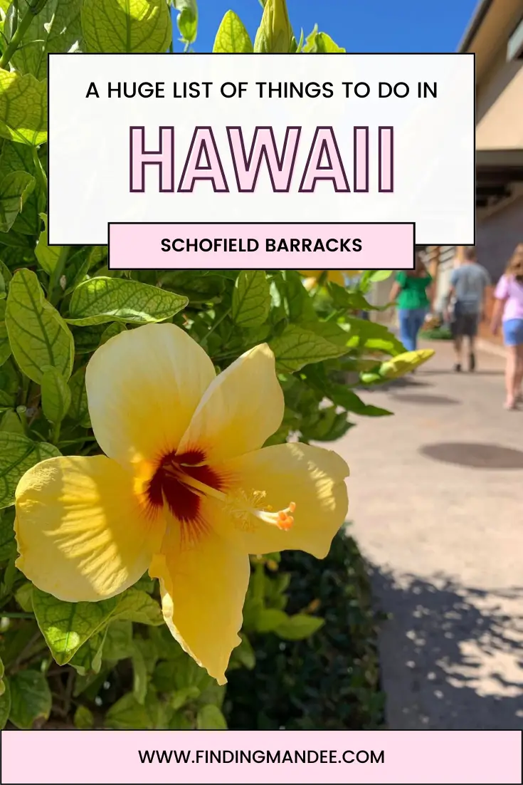 A Huge List of Things to do in Hawaii | Finding Mandee