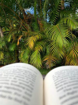 Books Set in Hawaii
