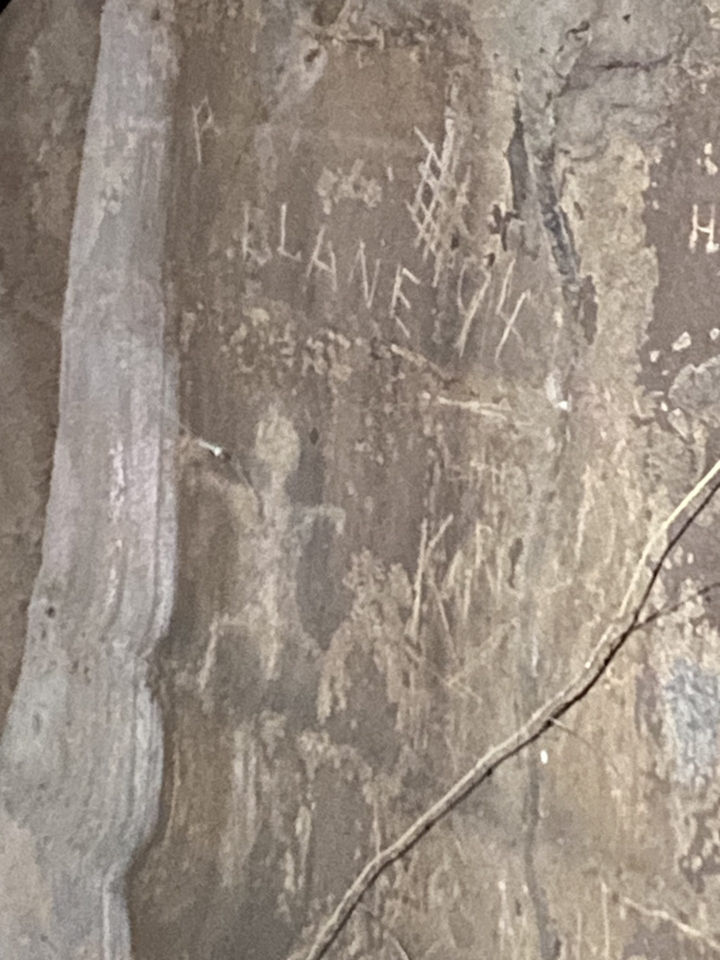 Hunting for ancient petroglyphs in Honolulu, Hawaii.