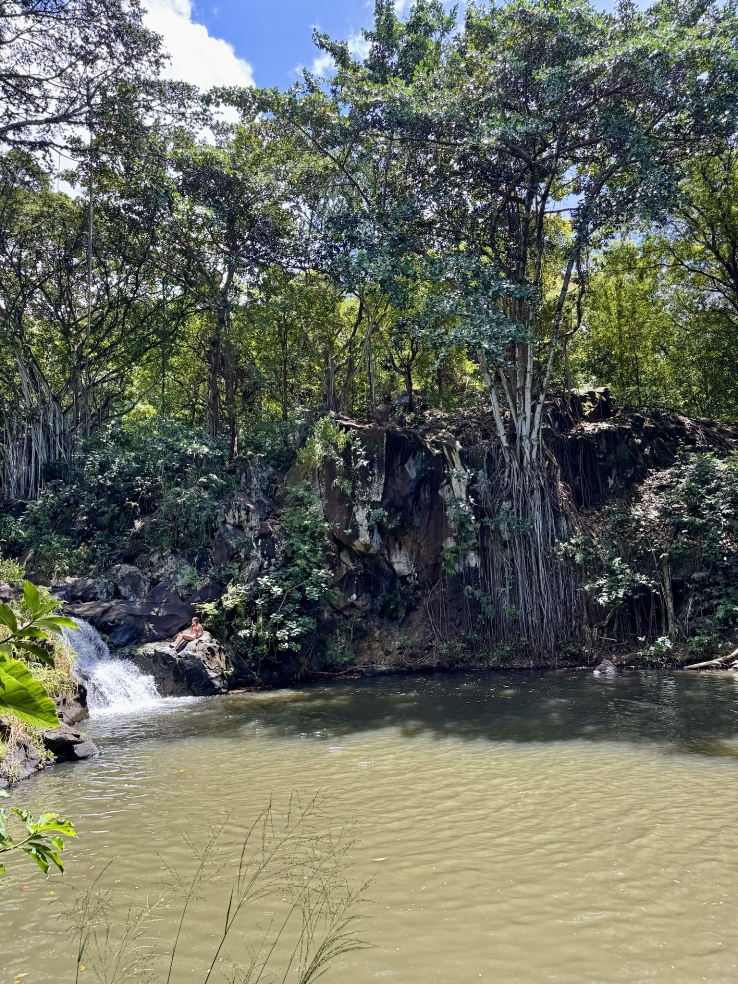 Kapena Falls in Honolulu.