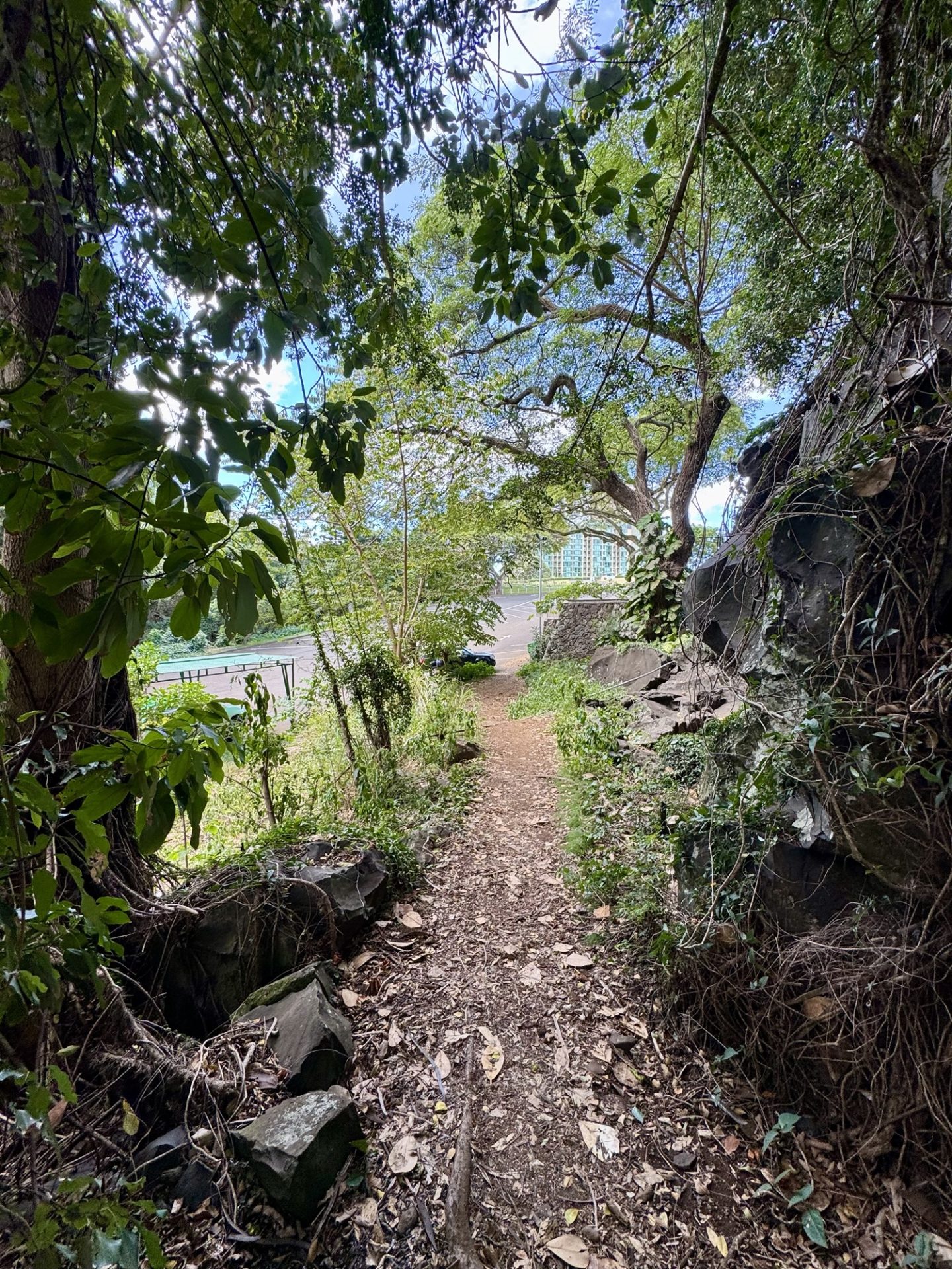 How to find Petroglyphs on Oahu