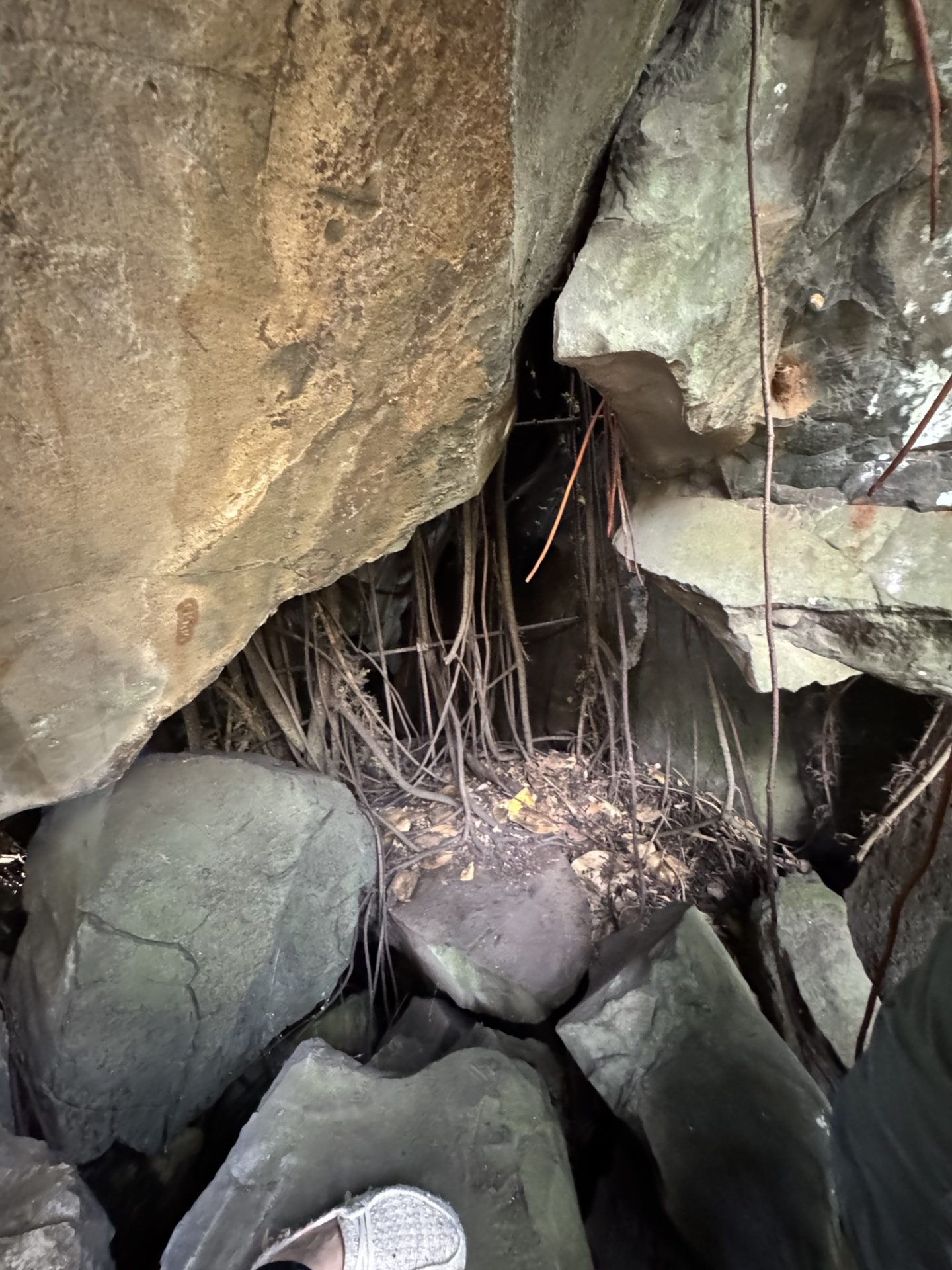 You can find ancient Hawaiian petroglyphs in this cave in Honolulu.