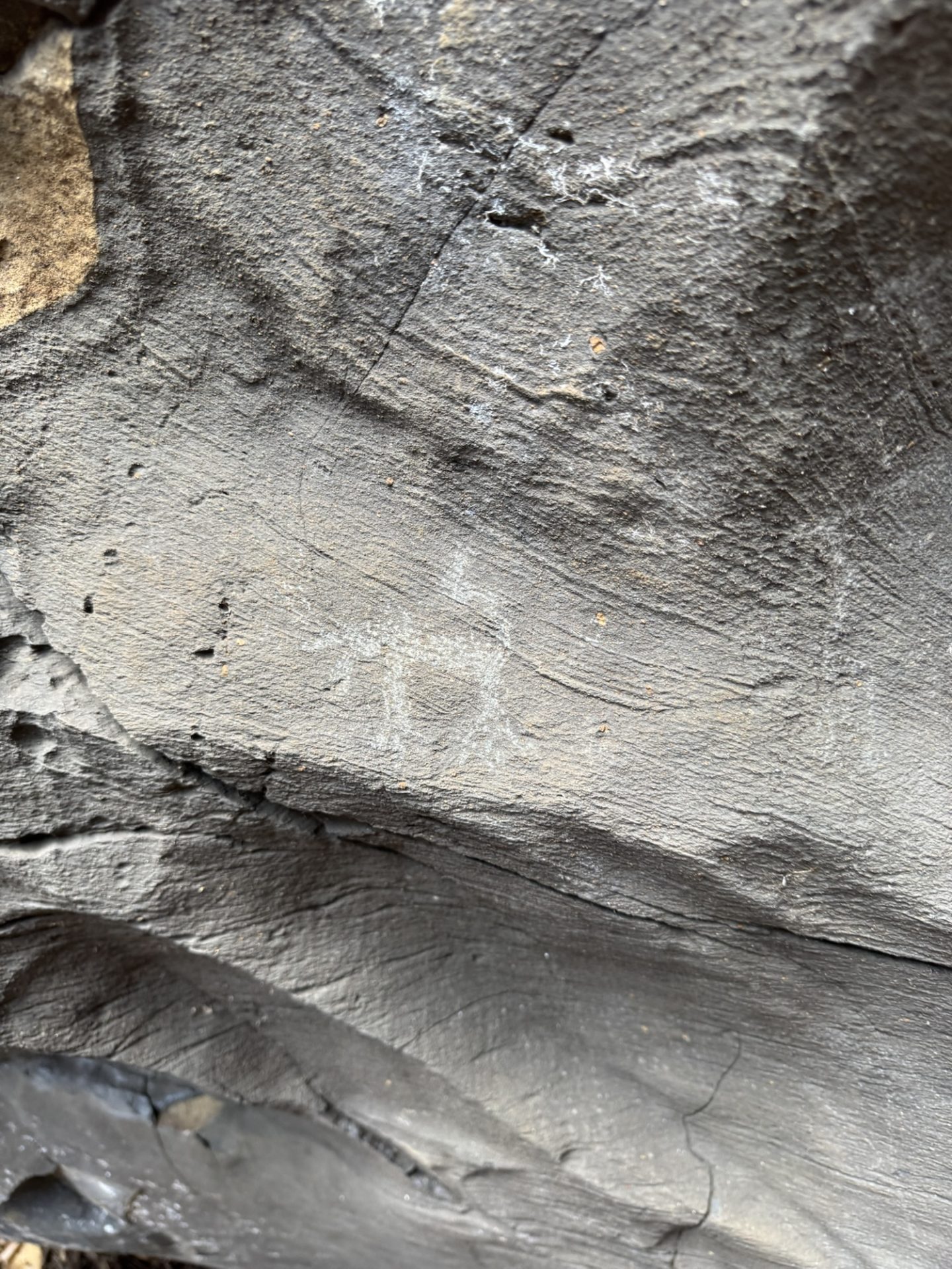 Dog figure from the Nu'uanu petroglyphs on Oahu.