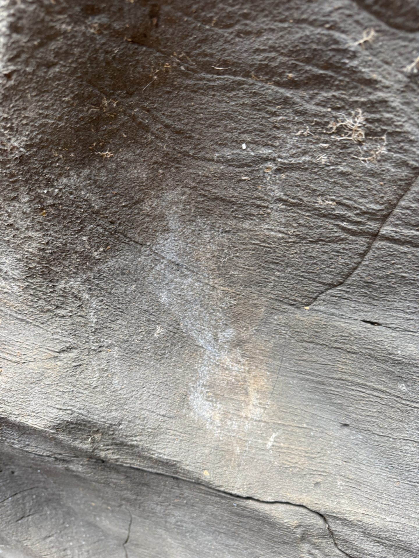Petroglyphs on Oahu at the Nu'uanu site.