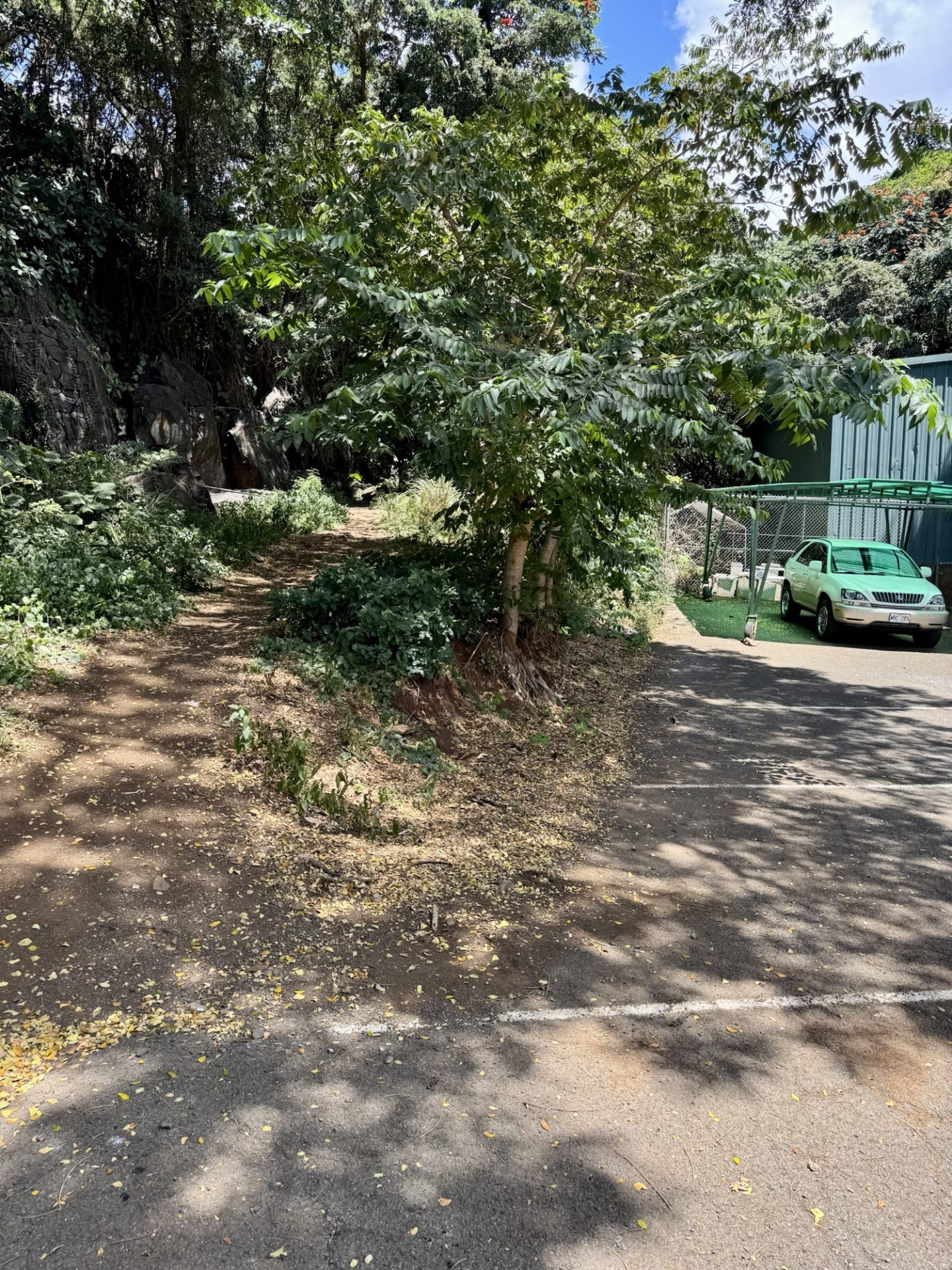The Kapena Falls trailhead. 