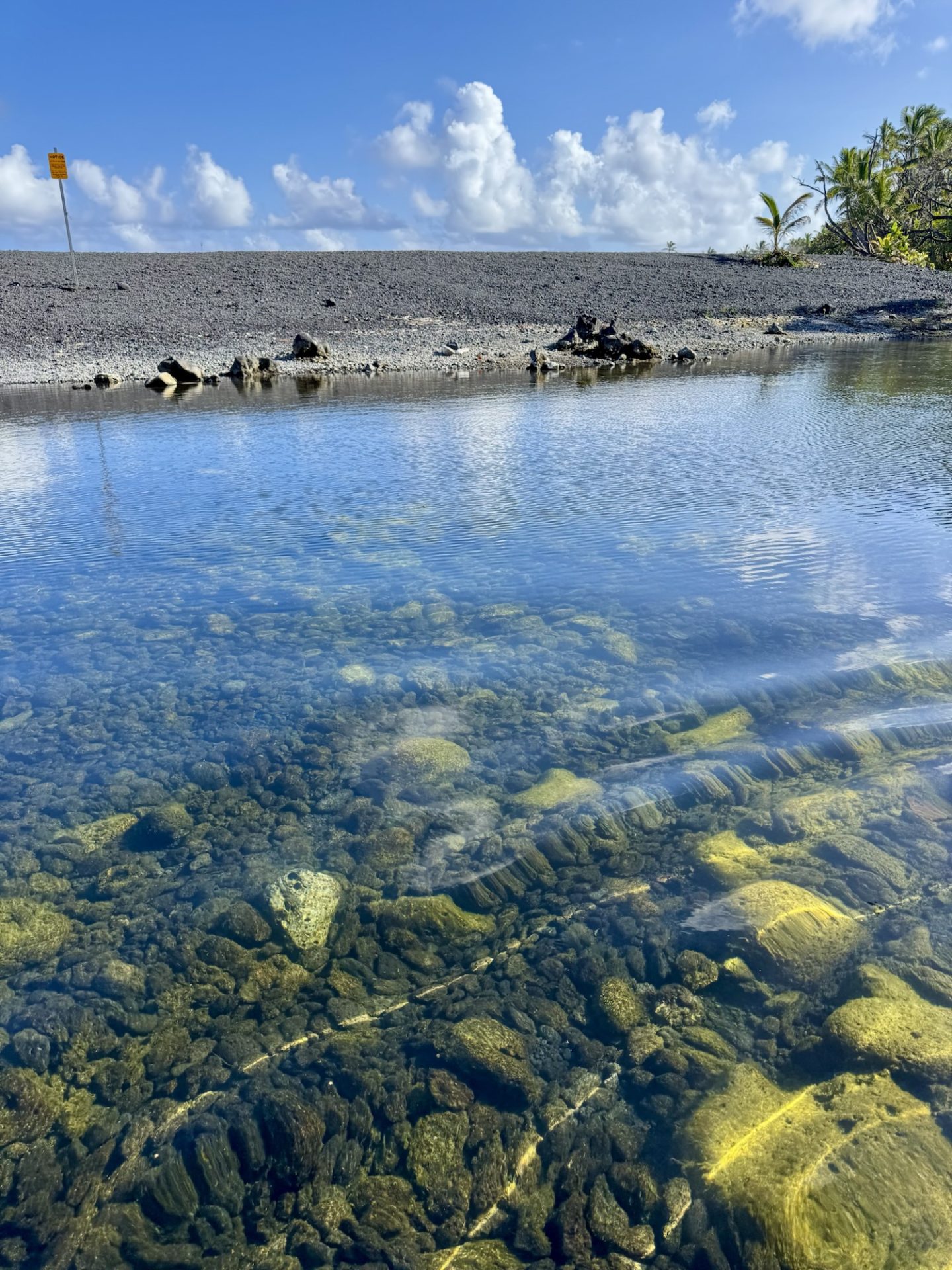 Pohoiki Hot Springs on the Big Island, Hawaii.